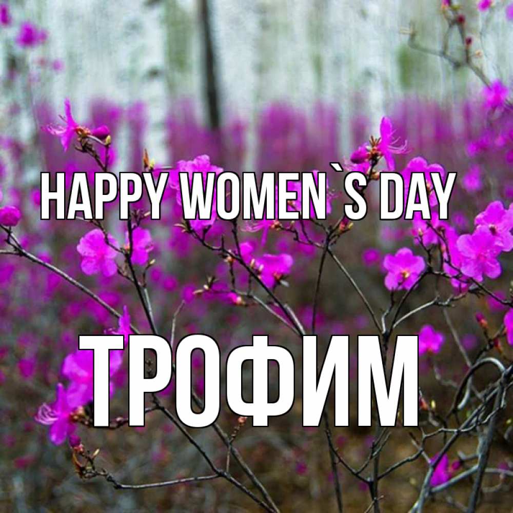 Greetings card с именем, Трофим happy women`s day дикие цветы Greetings with text for free download 